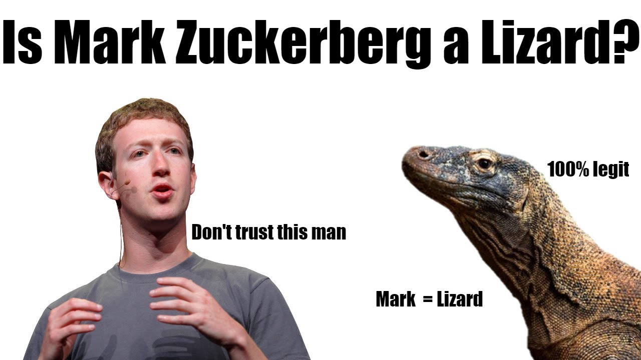 Detail Mark Zuckerberg Lizard Meme Nomer 12