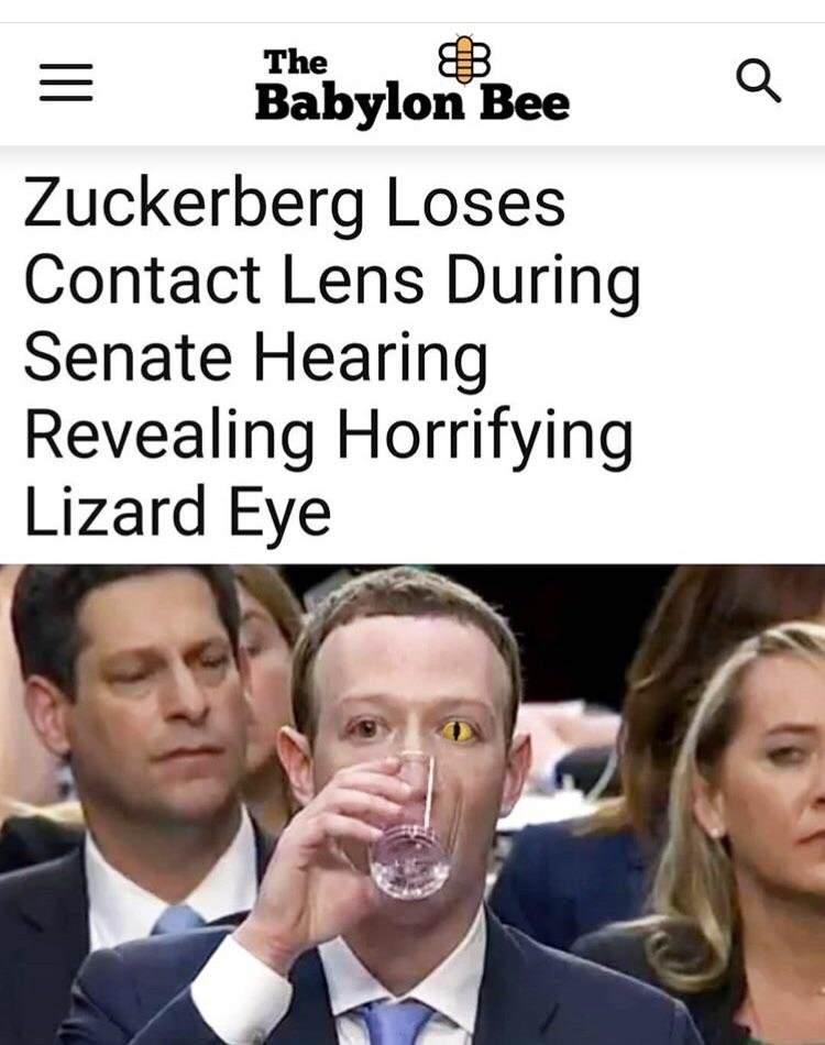 Detail Mark Zuckerberg Lizard Meme Nomer 15