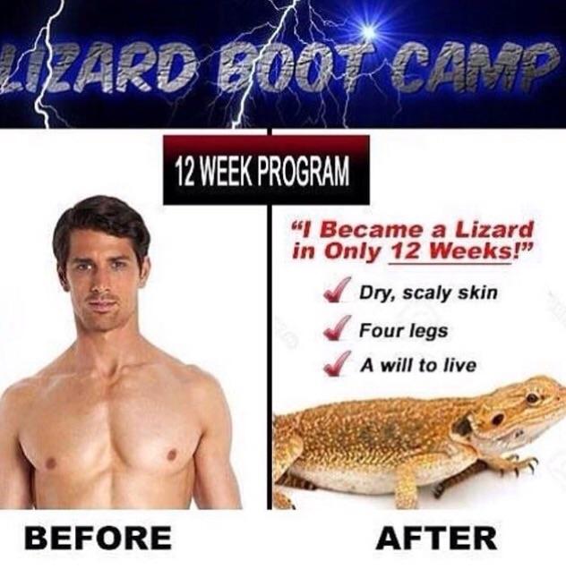 Detail Mark Zuckerberg Lizard Meme Nomer 23
