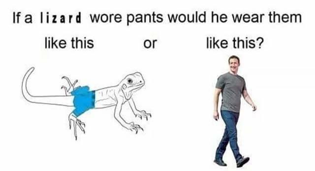 Detail Mark Zuckerberg Lizard Meme Nomer 25