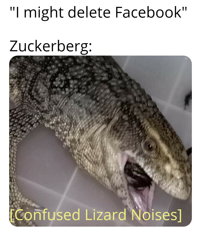 Detail Mark Zuckerberg Lizard Meme Nomer 33