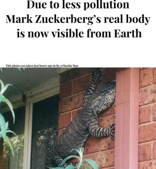 Detail Mark Zuckerberg Lizard Meme Nomer 38