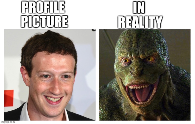 Detail Mark Zuckerberg Lizard Meme Nomer 42