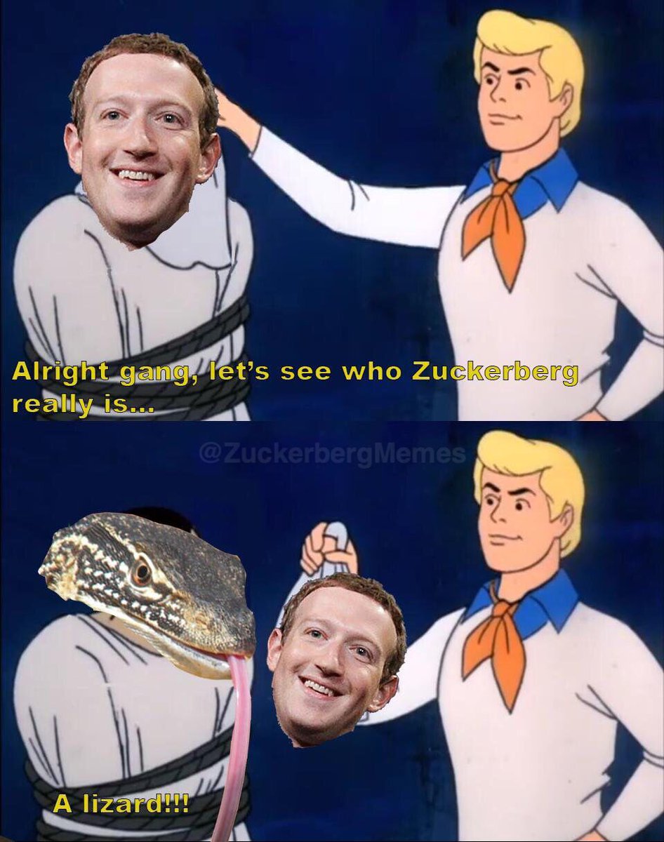 Detail Mark Zuckerberg Lizard Meme Nomer 7