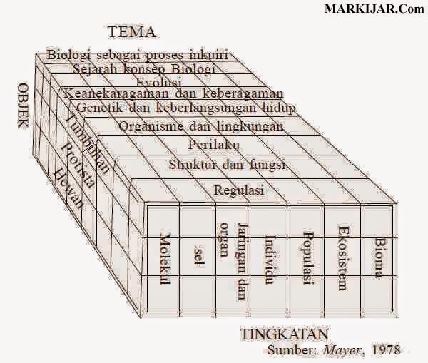 Detail Markijar Cpns Nomer 28