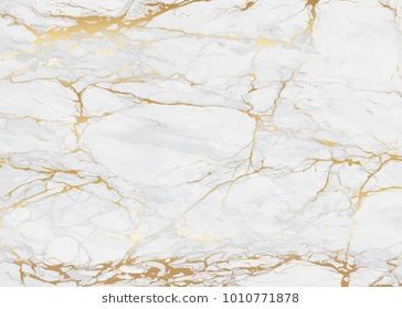 Detail Marmer Vector Nomer 14