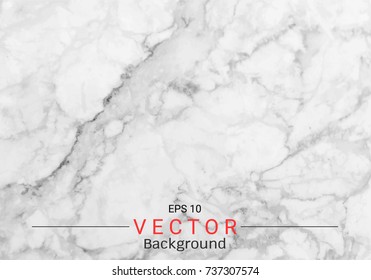 Detail Marmer Vector Nomer 15