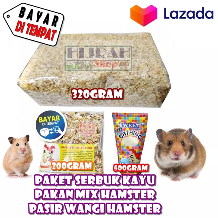 Detail Marmut Dan Hamster Nomer 28