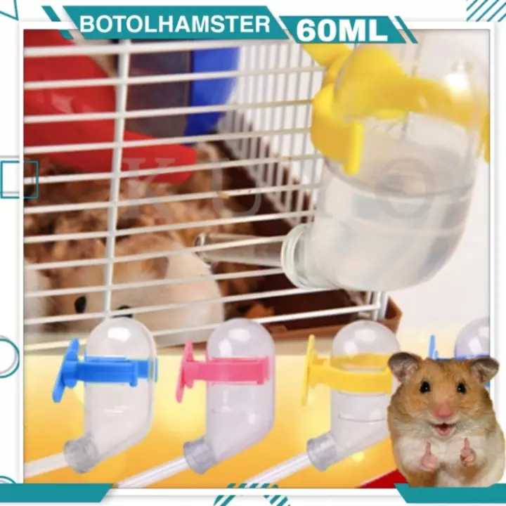 Detail Marmut Dan Hamster Nomer 44