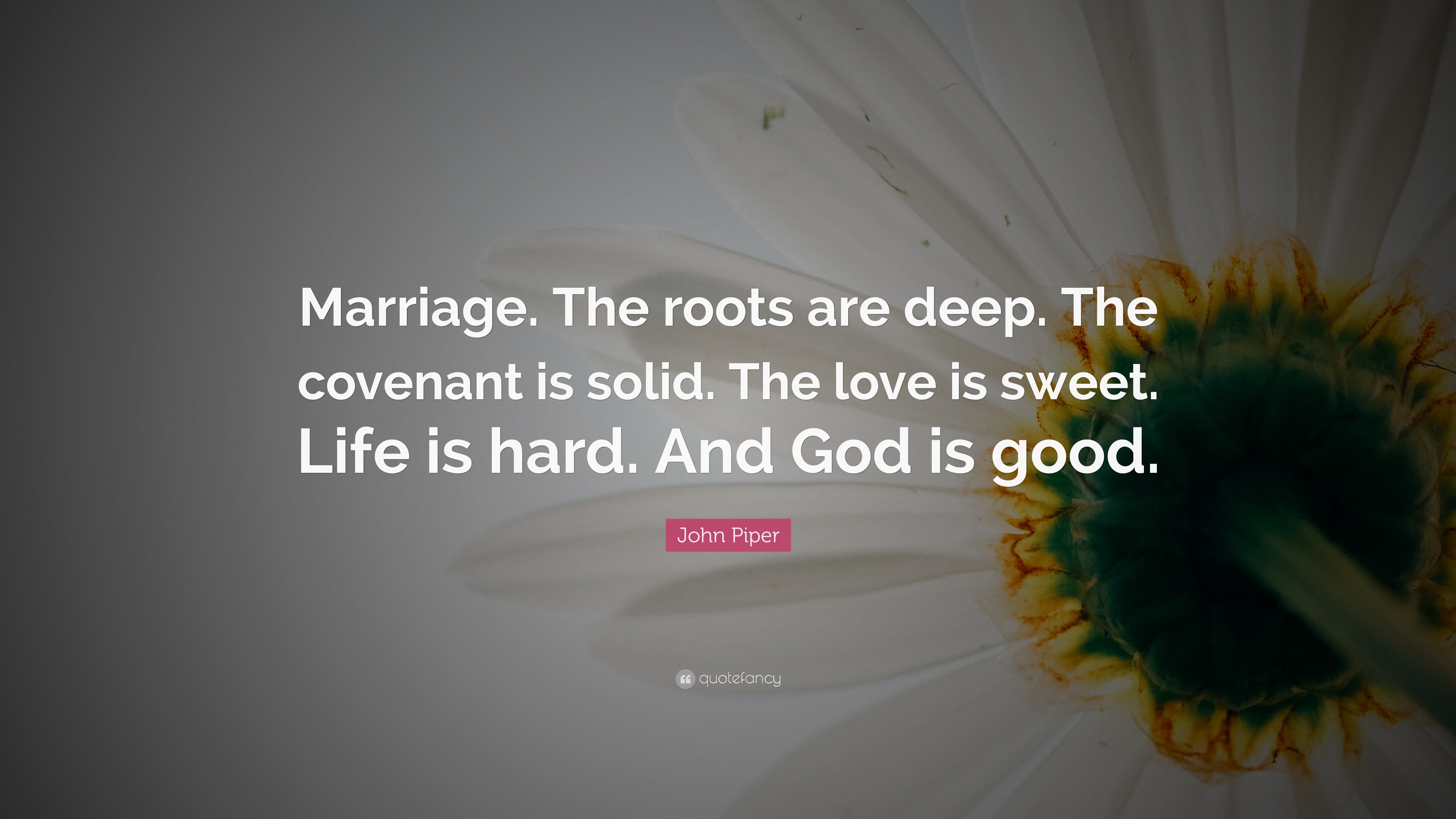 Detail Marriage Covenant Quotes Nomer 11