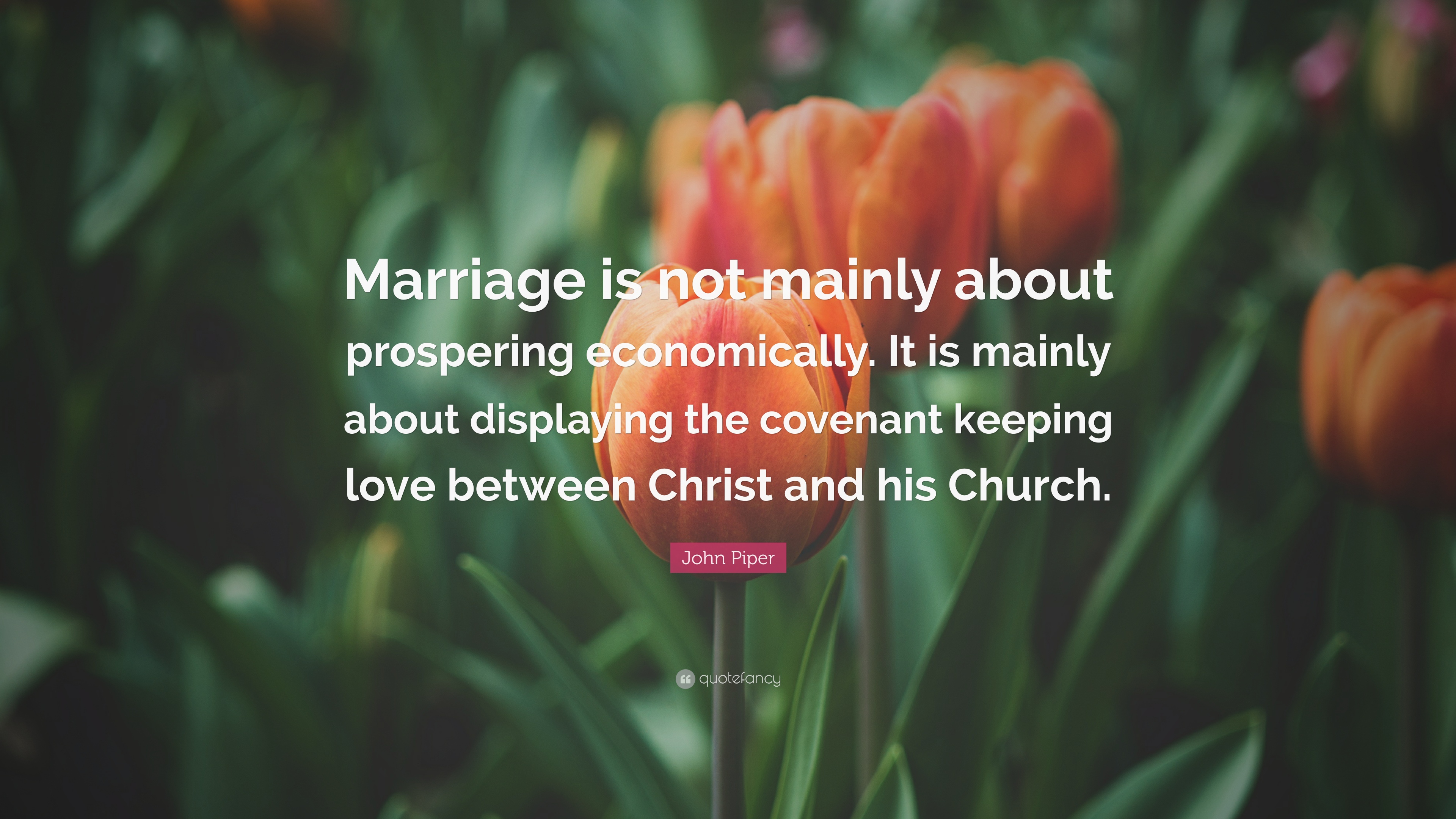 Detail Marriage Covenant Quotes Nomer 47