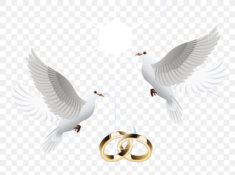 Detail Marriage Wedding Ring Png Nomer 25