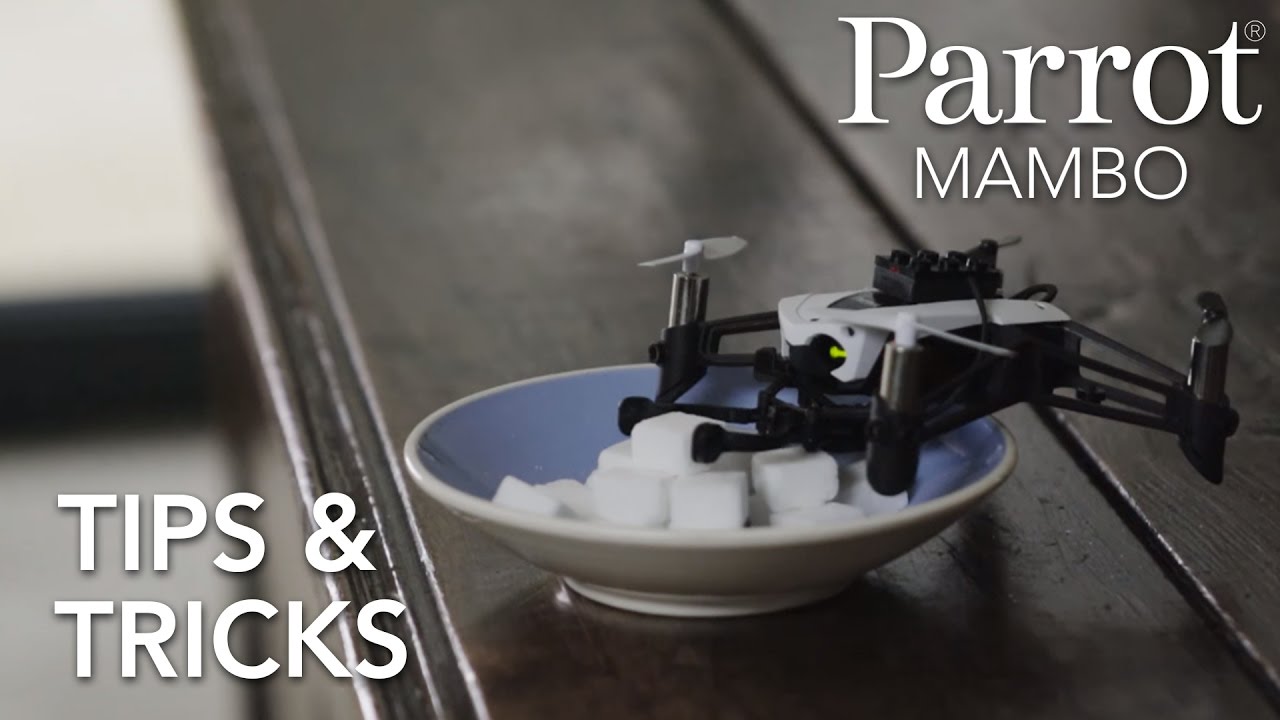 Detail Mars Parrot Mini Drone Nomer 25