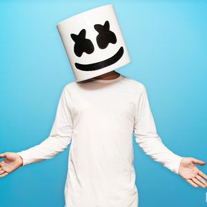 Detail Marshmello Vs Alan Walker Nomer 34