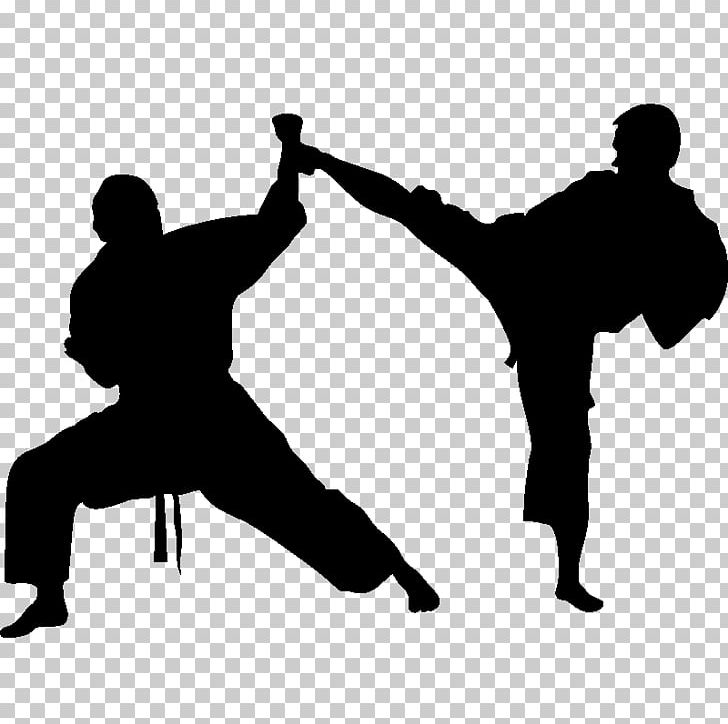 Detail Martial Arts Png Nomer 43