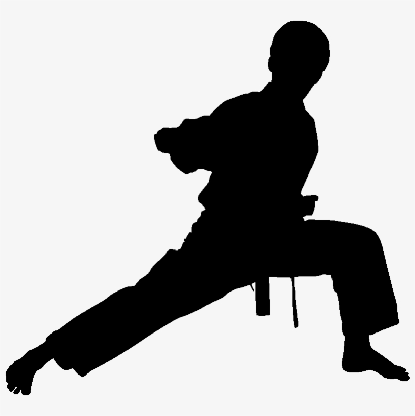 Detail Martial Arts Png Nomer 51