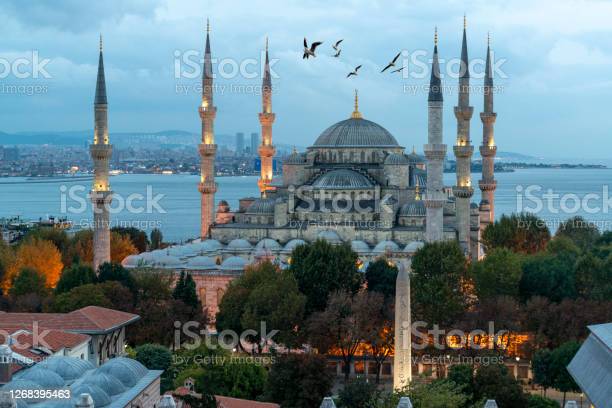 Detail Masjid Biru Turki Nomer 22