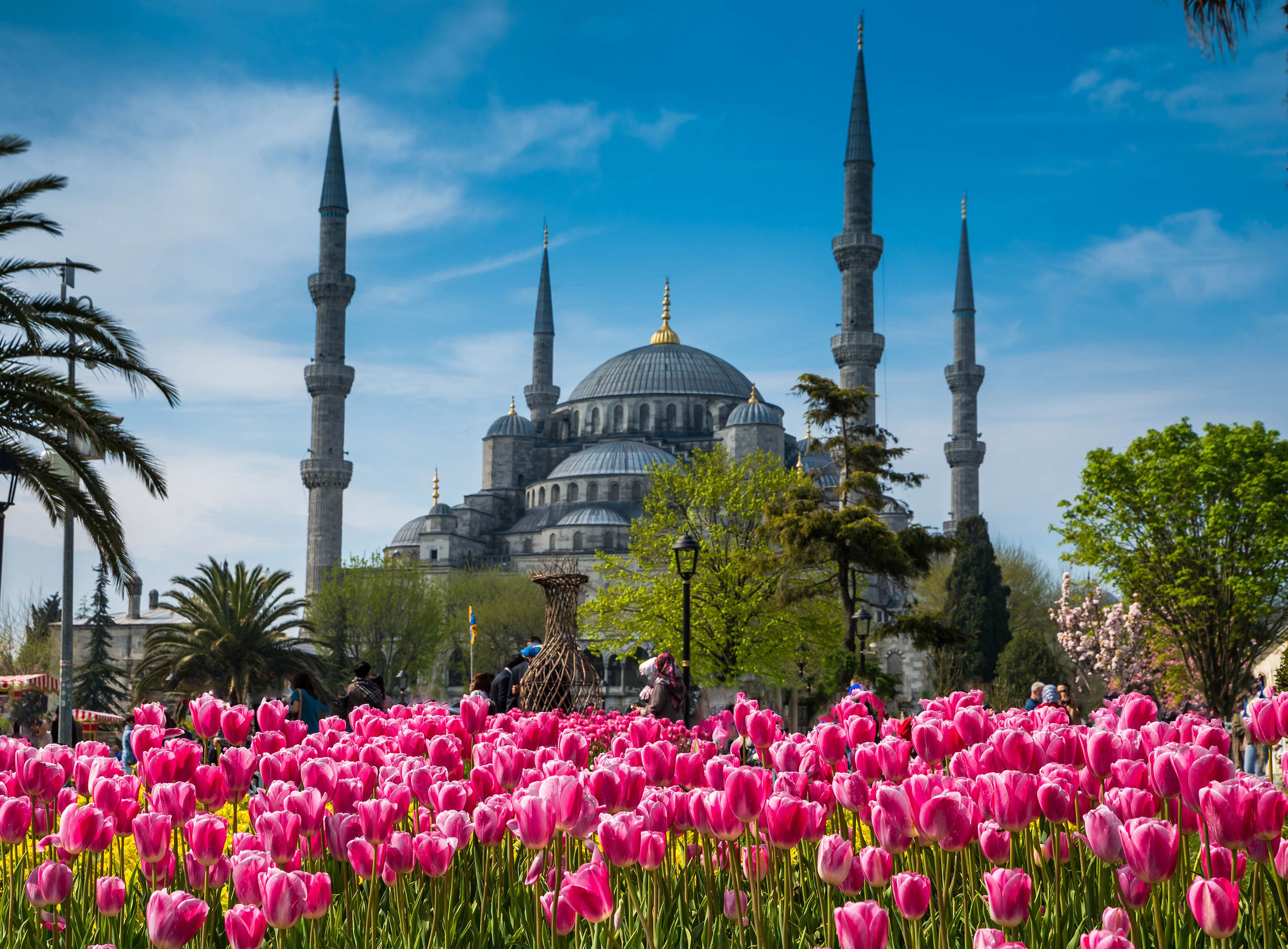 Detail Masjid Biru Turki Di Istanbul Nomer 19