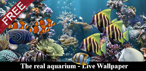 Detail Photo Aquarium Live Wallpaper Nomer 19