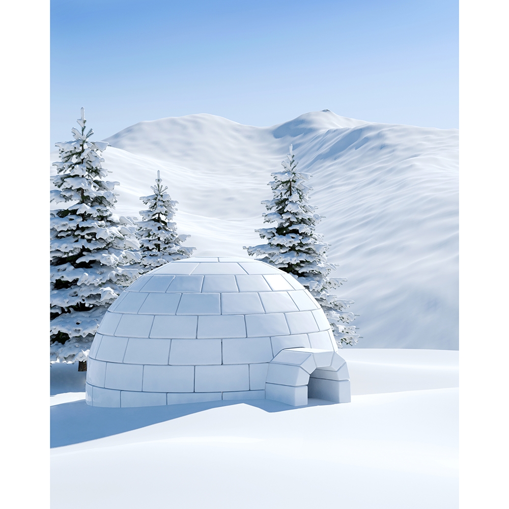 Detail Photo Booth Igloo Nomer 50