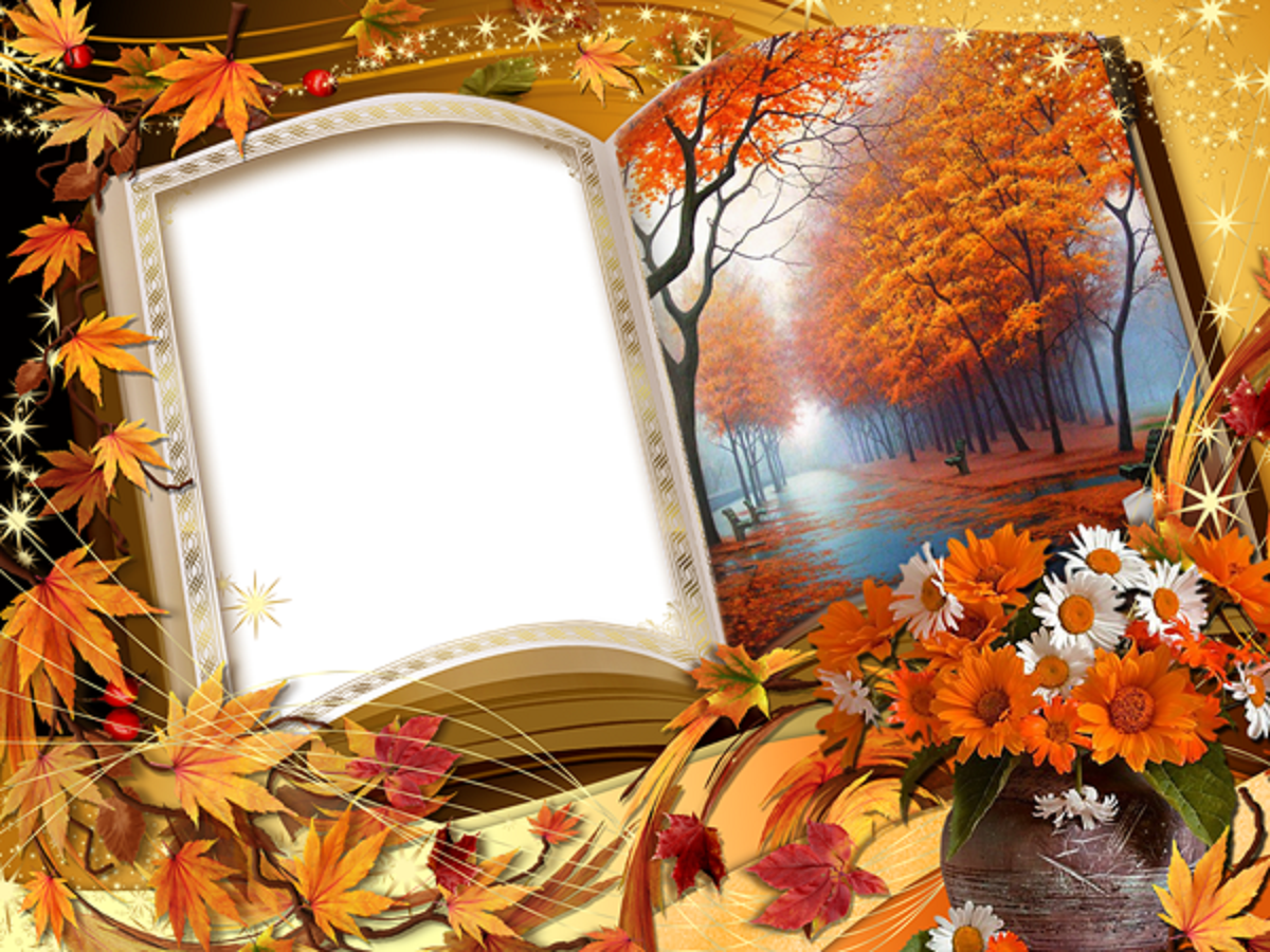 Detail Photo Frame Hd Wallpaper Nomer 38