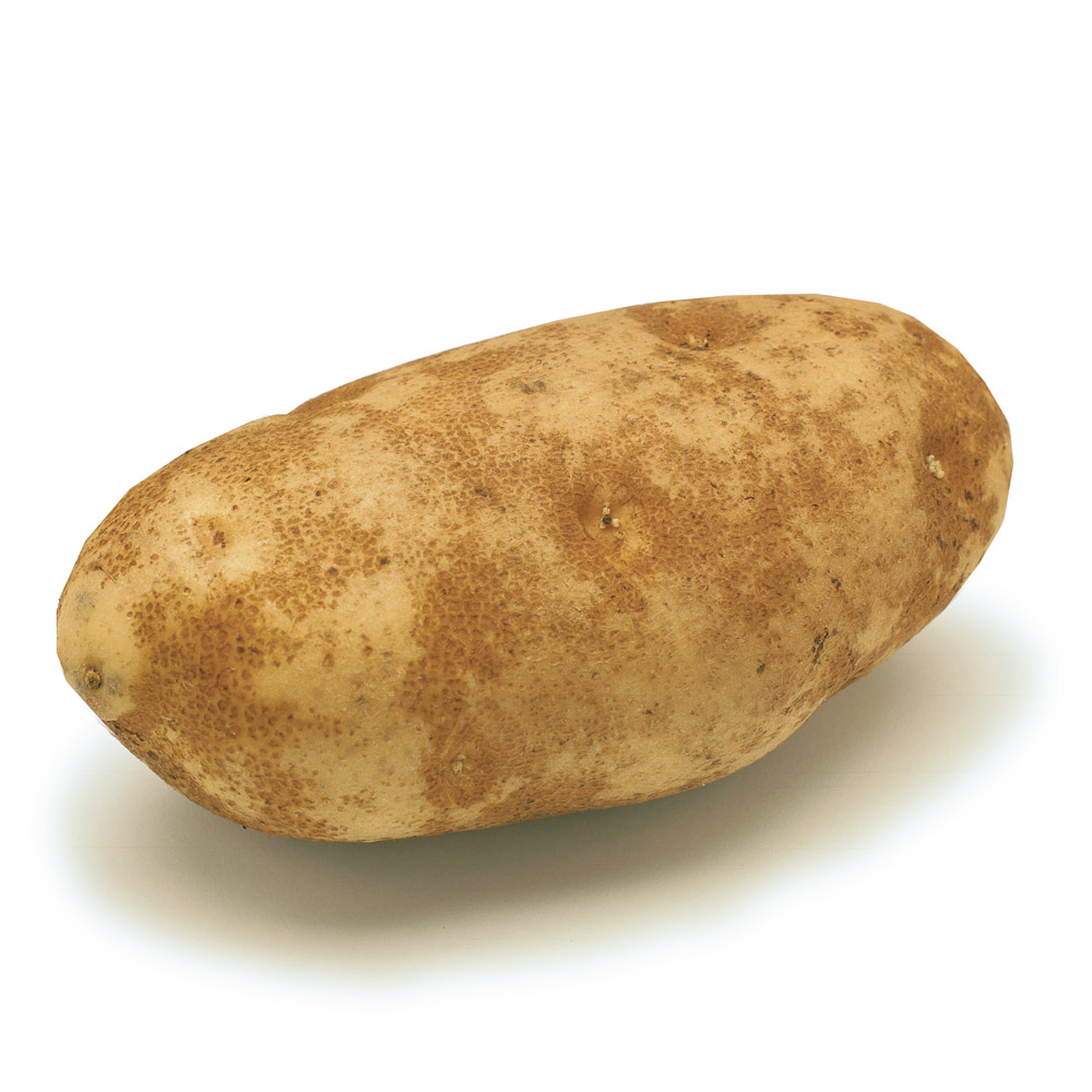 Detail Photo Of A Potato Nomer 20