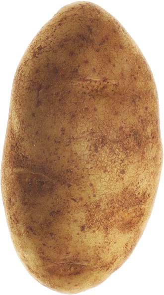 Detail Photo Of A Potato Nomer 48