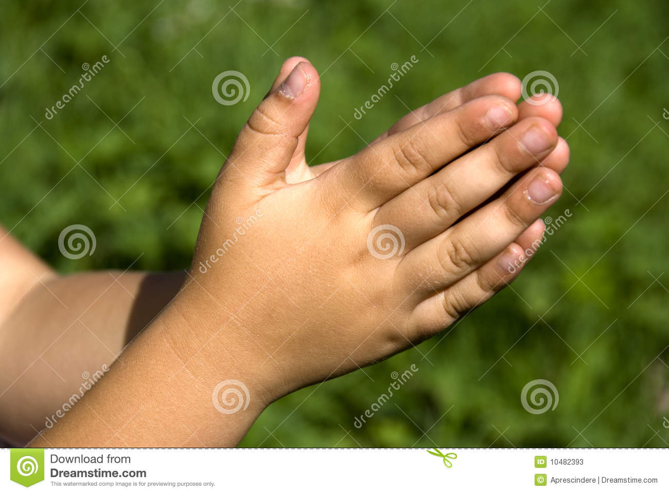 Detail Photo Of Praying Hands Nomer 37