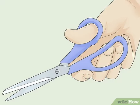 Detail Photo Of Scissors Nomer 58
