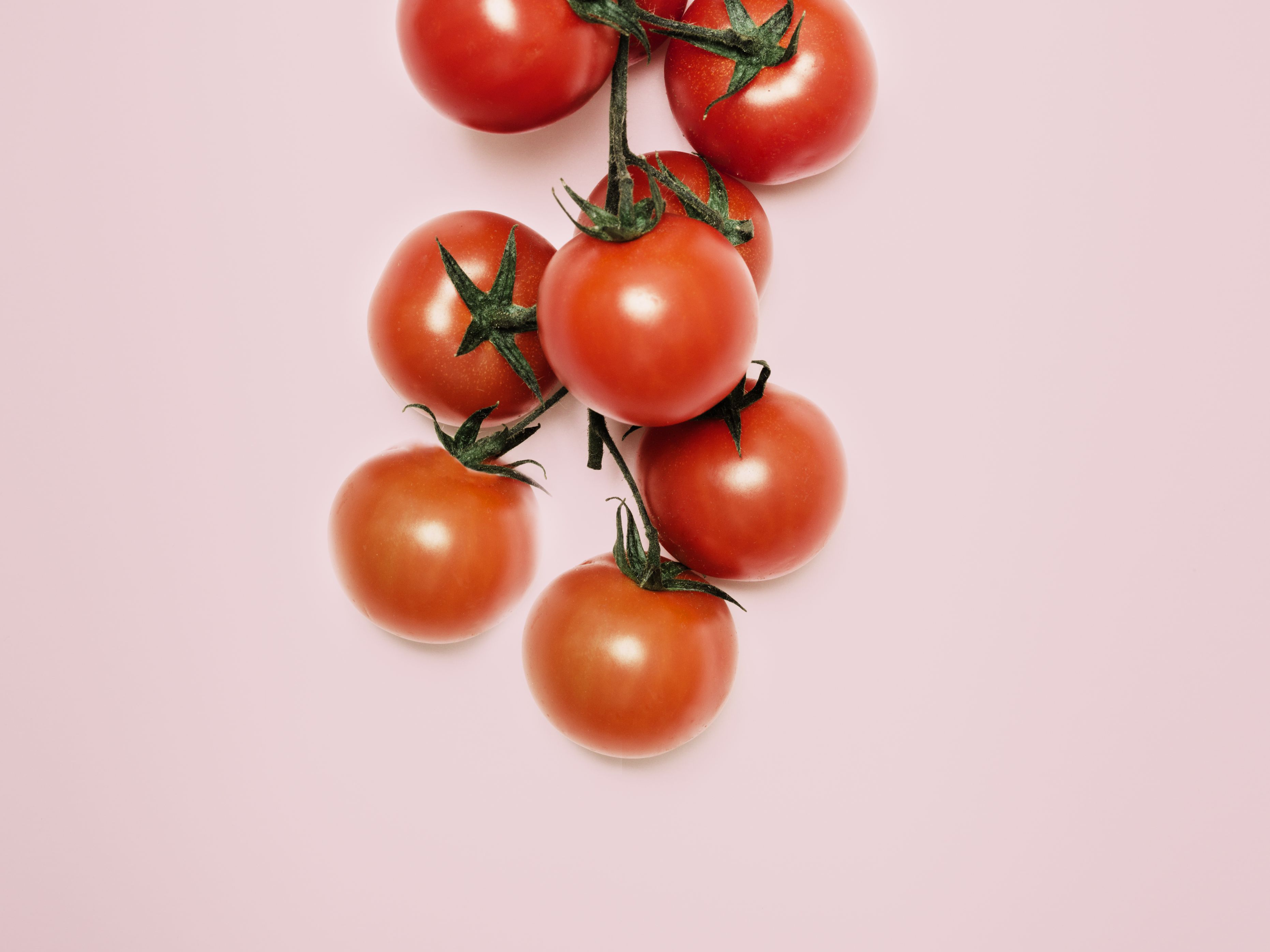 Detail Photo Of Tomato Nomer 22