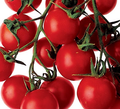 Detail Photo Of Tomato Nomer 29