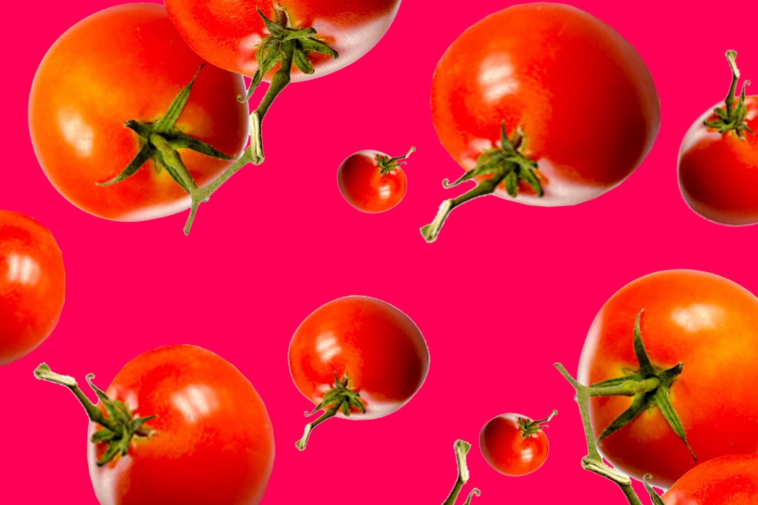 Detail Photo Of Tomato Nomer 46