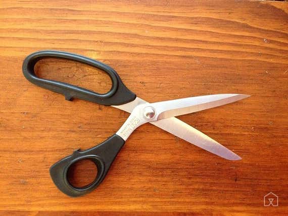 Detail Photo Scissors Nomer 28