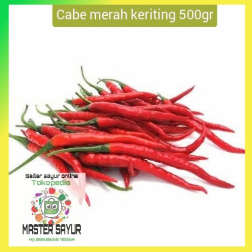 Detail Master Gambar Cabe Keriting Nomer 2