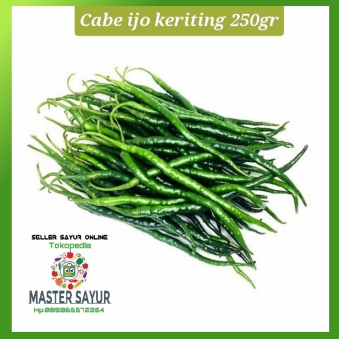 Detail Master Gambar Cabe Keriting Nomer 3