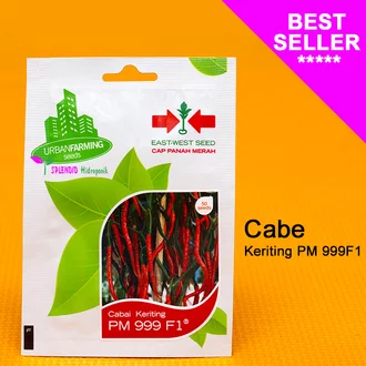 Detail Master Gambar Cabe Keriting Nomer 34