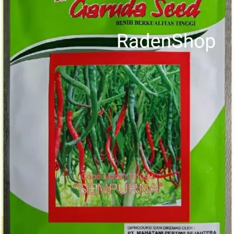 Detail Master Gambar Cabe Keriting Nomer 35