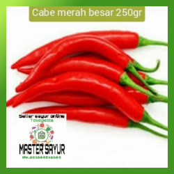 Detail Master Gambar Cabe Keriting Nomer 36