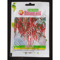 Detail Master Gambar Cabe Keriting Nomer 39