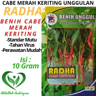 Detail Master Gambar Cabe Keriting Nomer 41