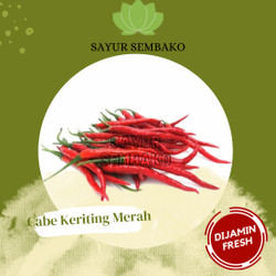Detail Master Gambar Cabe Keriting Nomer 49
