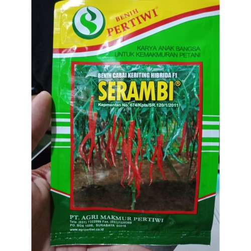 Detail Master Gambar Cabe Keriting Nomer 50