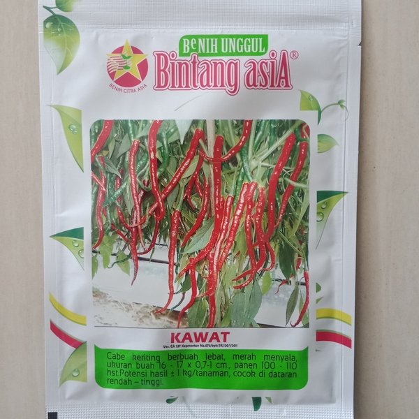Detail Master Gambar Cabe Keriting Nomer 54