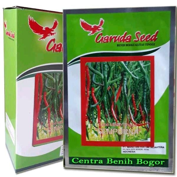 Detail Master Gambar Cabe Keriting Nomer 7