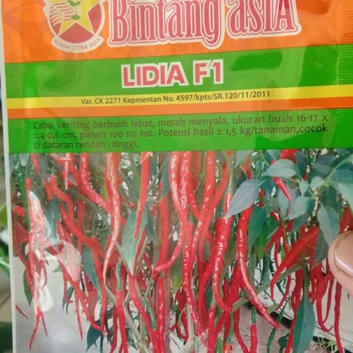 Detail Master Gambar Cabe Keriting Nomer 8