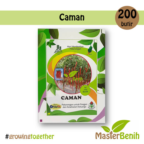 Detail Master Gambar Cabe Keriting Nomer 10