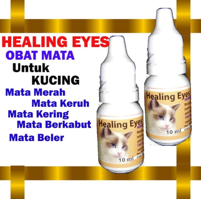 Detail Mata Kucing Berkabut Nomer 10