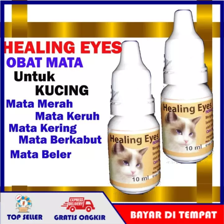 Detail Mata Kucing Berkabut Nomer 18