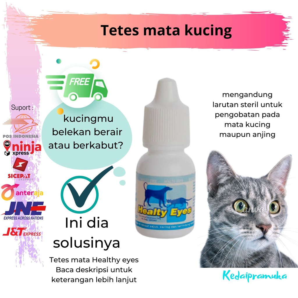 Detail Mata Kucing Berkabut Nomer 30