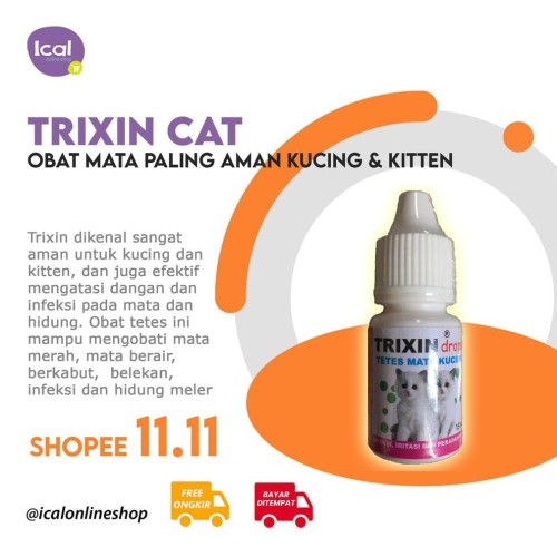 Detail Mata Kucing Berkabut Nomer 34